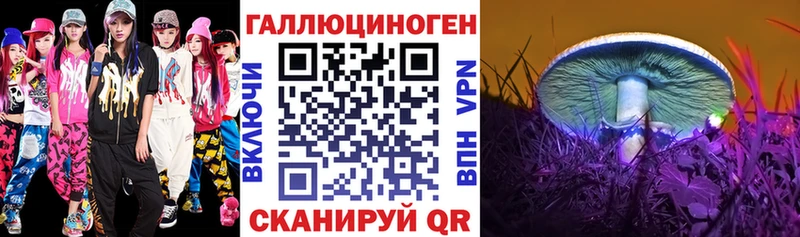Псилоцибиновые грибы Cubensis  Аксай 