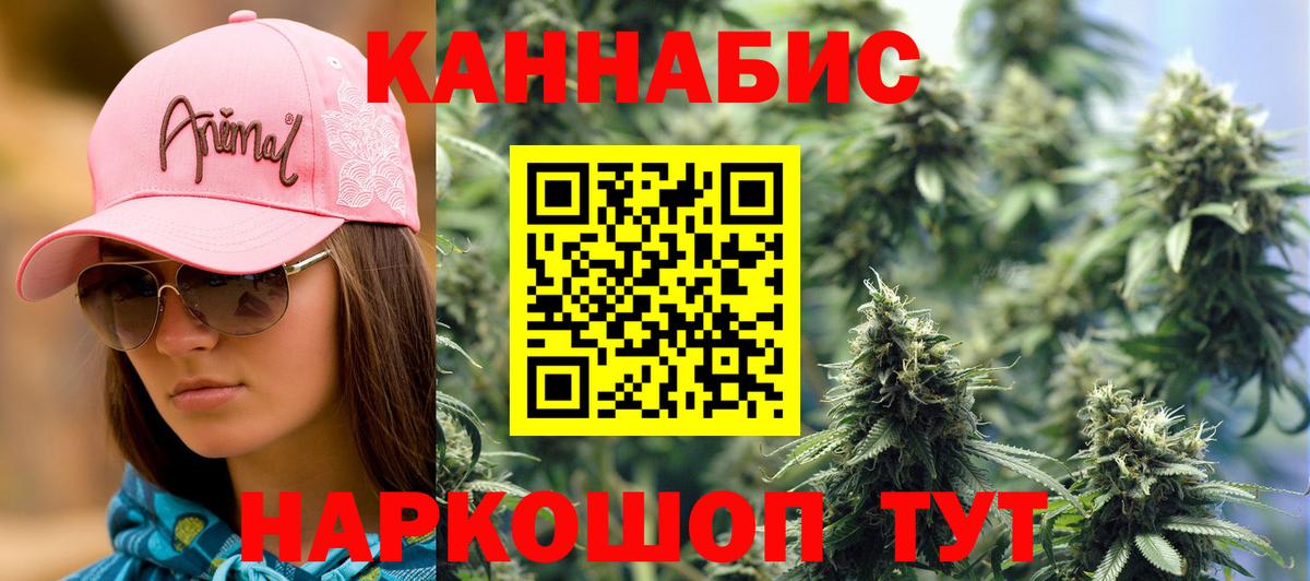 Марихуана сатива Аксай